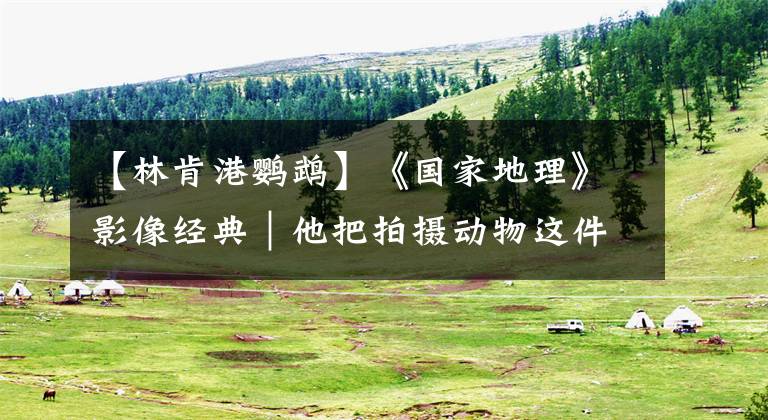 【林肯港鹦鹉】《国家地理》影像经典|他把拍摄动物这件事上升到了人生意义的高度!