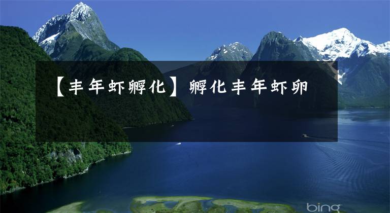 【丰年虾孵化】孵化丰年虾卵