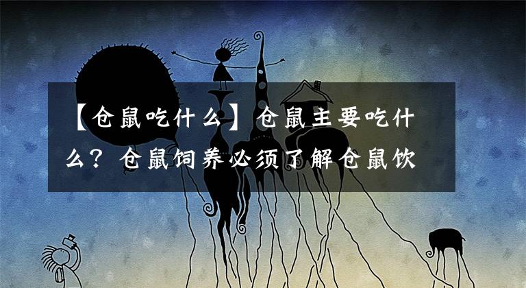 【仓鼠吃什么】仓鼠主要吃什么？仓鼠饲养必须了解仓鼠饮食习惯