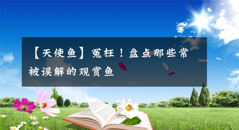 【天使鱼】冤枉！盘点那些常被误解的观赏鱼