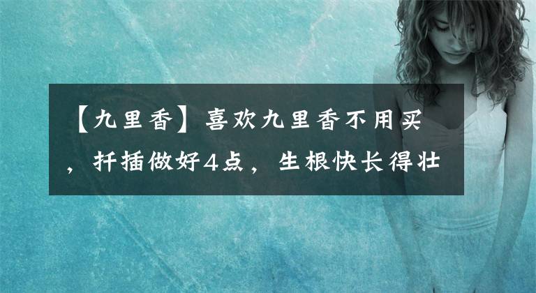 【九里香】喜欢九里香不用买，扦插做好4点，生根快长得壮，早早就开花