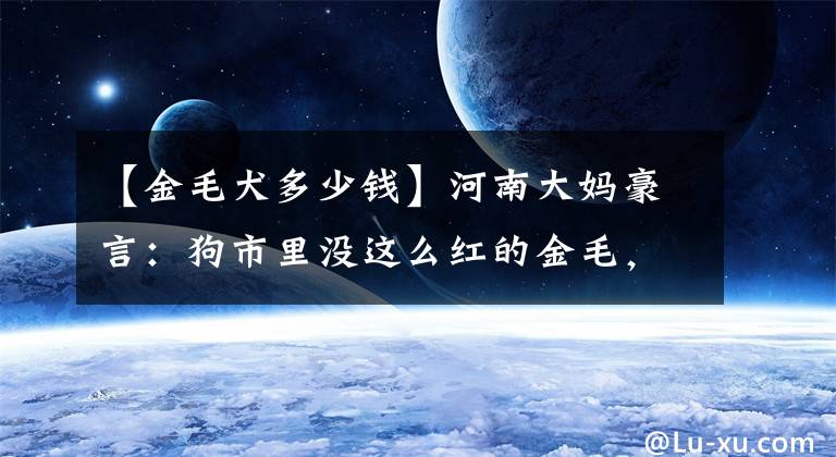 【金毛犬多少钱】河南大妈豪言:狗市里没这么红的金毛,网友:这品相也敢卖这么贵