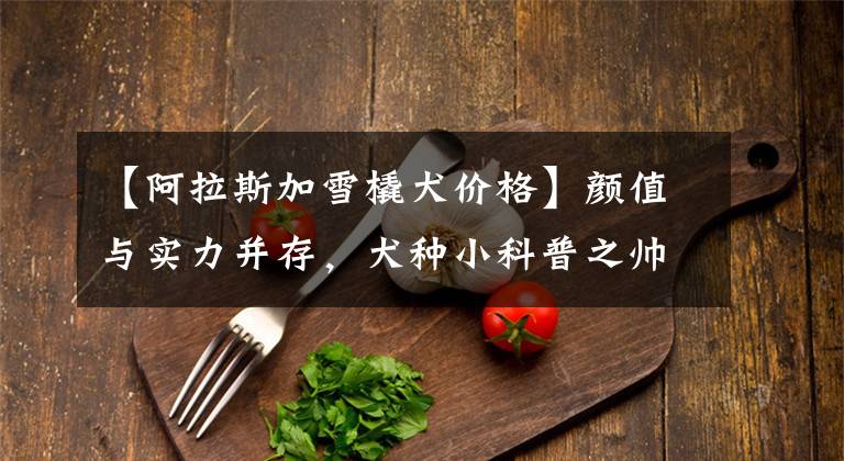 【阿拉斯加雪橇犬价格】颜值与实力并存，犬种小科普之帅气威武的阿拉斯加雪橇犬！