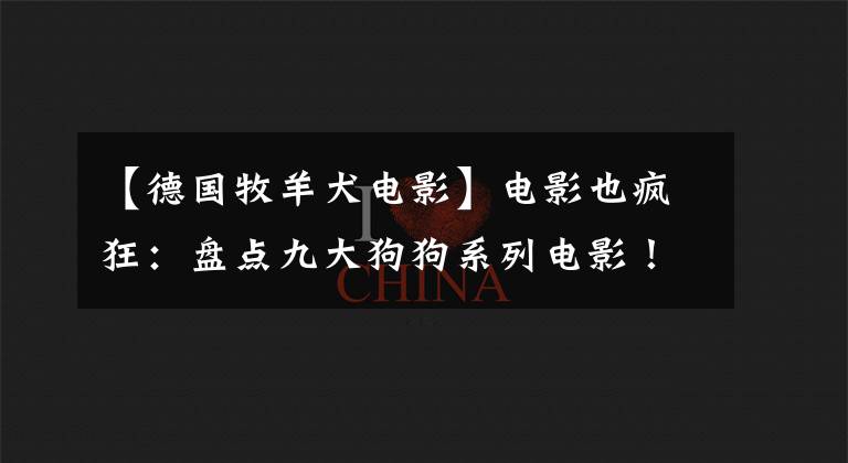 【德国牧羊犬电影】电影也疯狂:盘点九大狗狗系列电影!