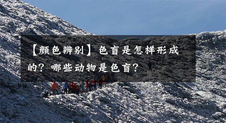 【颜色辨别】色盲是怎样形成的?哪些动物是色盲?