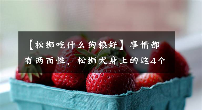 【松狮吃什么狗粮好】事情都有两面性，松狮犬身上的这4个“缺点”，其实是优点