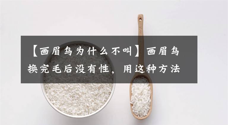 【画眉鸟为什么不叫】画眉鸟换完毛后没有性,用这种方法简单又快速