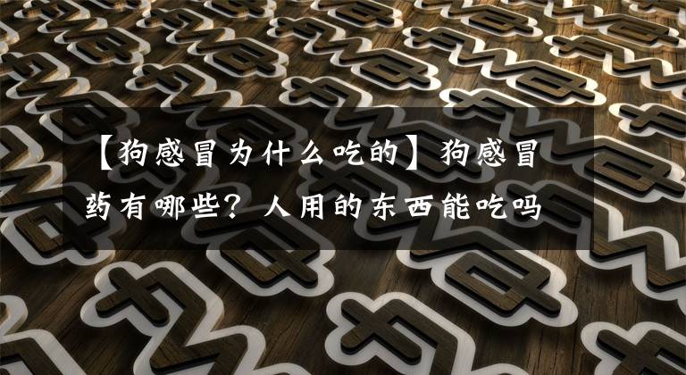 【狗感冒为什么吃的】狗感冒药有哪些？人用的东西能吃吗？