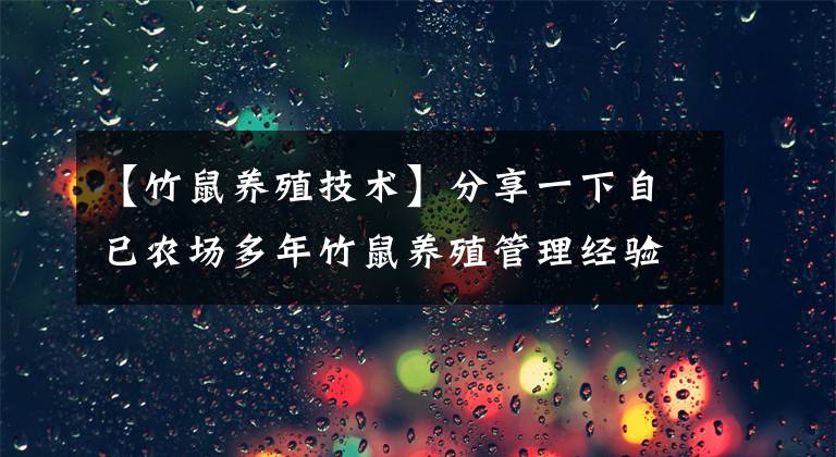 【竹鼠养殖技术】分享一下自已农场多年竹鼠养殖管理经验
