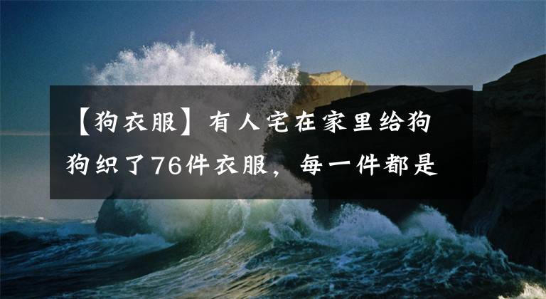 【狗衣服】有人宅在家里给狗狗织了76件衣服，每一件都是量身打造！好羡慕