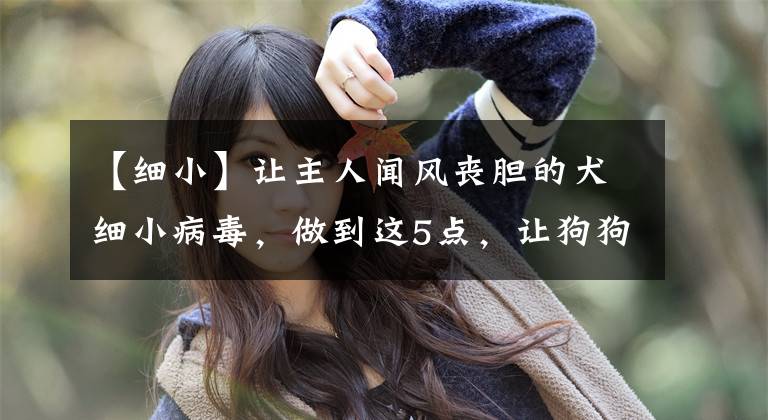 【细小】让主人闻风丧胆的犬细小病毒，做到这5点，让狗狗尽量远离它