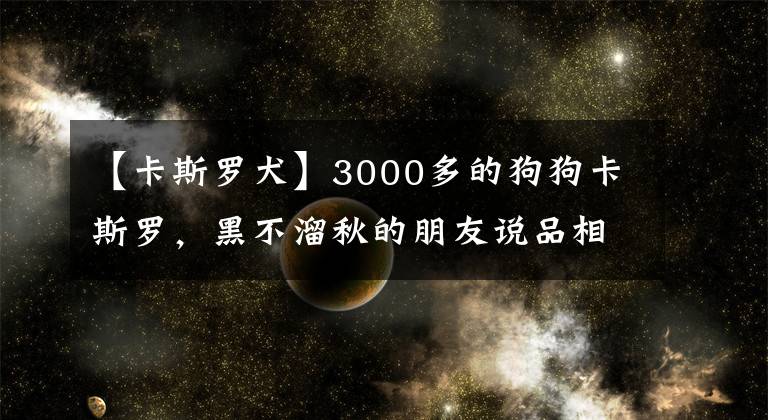 【卡斯罗犬】3000多的狗狗卡斯罗，黑不溜秋的朋友说品相不值