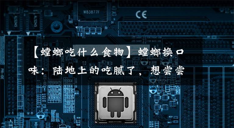 【螳螂吃什么食物】螳螂换口味：陆地上的吃腻了，想尝尝连水里游的是什么腥味？