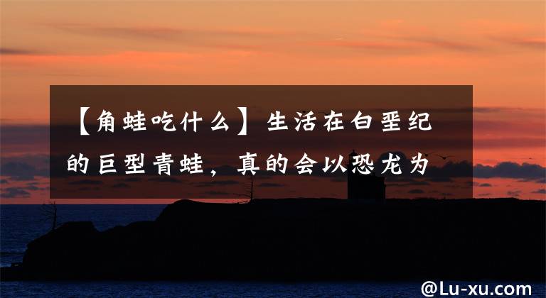 【角蛙吃什么】生活在白垩纪的巨型青蛙，真的会以恐龙为食吗？