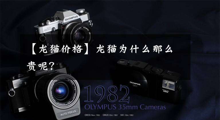 【龙猫价格】龙猫为什么那么贵呢?