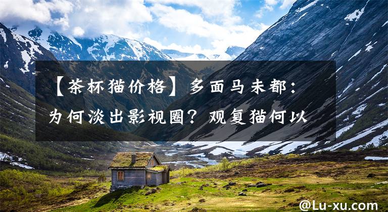 【茶杯猫价格】多面马未都:为何淡出影视圈?观复猫何以成了网红?
