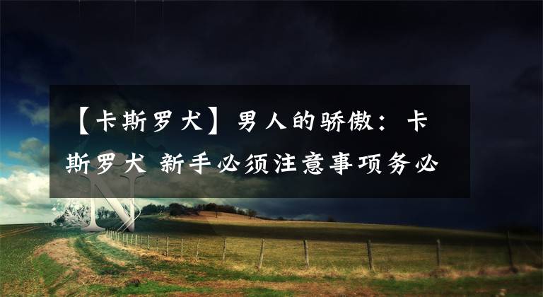 【卡斯罗犬】男人的骄傲：卡斯罗犬 新手必须注意事项务必上心