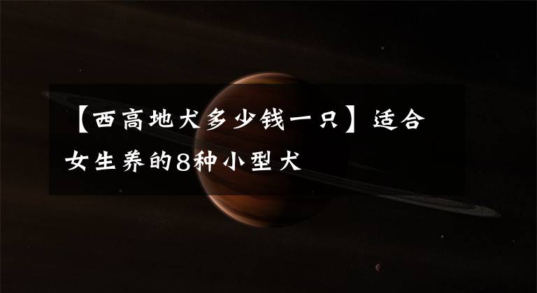 【西高地犬多少钱一只】适合女生养的8种小型犬