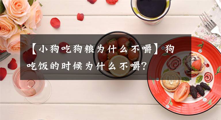 【小狗吃狗粮为什么不嚼】狗吃饭的时候为什么不嚼?