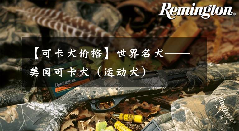 【可卡犬价格】世界名犬——美国可卡犬(运动犬)