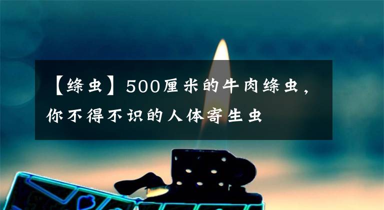 【绦虫】500厘米的牛肉绦虫，你不得不识的人体寄生虫