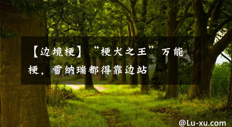 【边境梗】“梗犬之王”万能梗,雪纳瑞都得靠边站