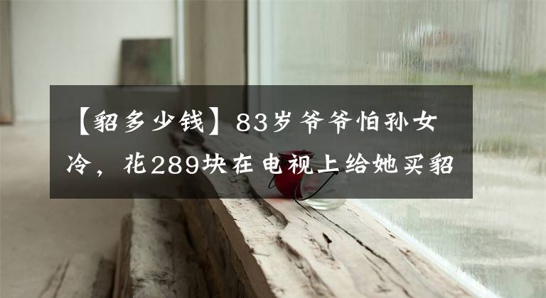 【貂多少钱】83岁爷爷怕孙女冷，花289块在电视上给她买貂，网友：爷爷真时髦