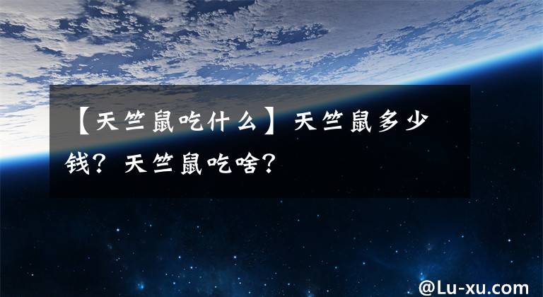 【天竺鼠吃什么】天竺鼠多少钱？天竺鼠吃啥？