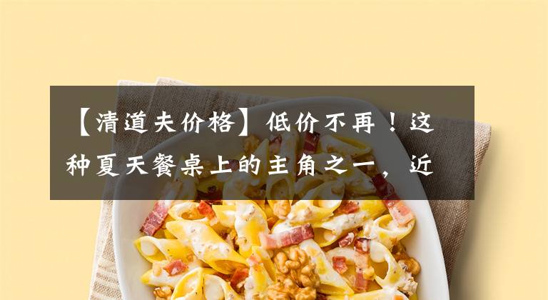 【清道夫价格】低价不再！这种夏天餐桌上的主角之一，近期价格为何出现反弹？