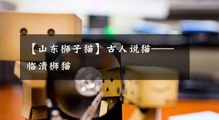 【山东狮子猫】古人说猫——临清狮猫