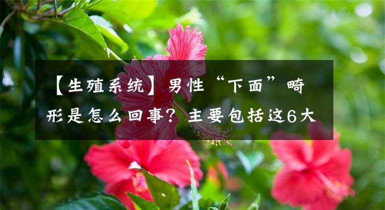 【生殖系统】男性“下面”畸形是怎么回事?主要包括这6大类型,你了解吗?