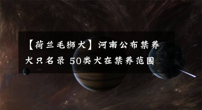 【荷兰毛狮犬】河南公布禁养犬只名录 50类犬在禁养范围