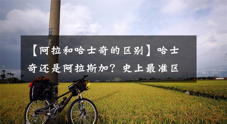 【阿拉和哈士奇的区别】哈士奇还是阿拉斯加？史上最准区分方法来咯！