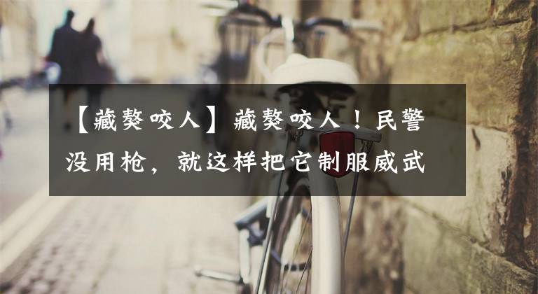 【藏獒咬人】藏獒咬人！民警没用枪，就这样把它制服威武！