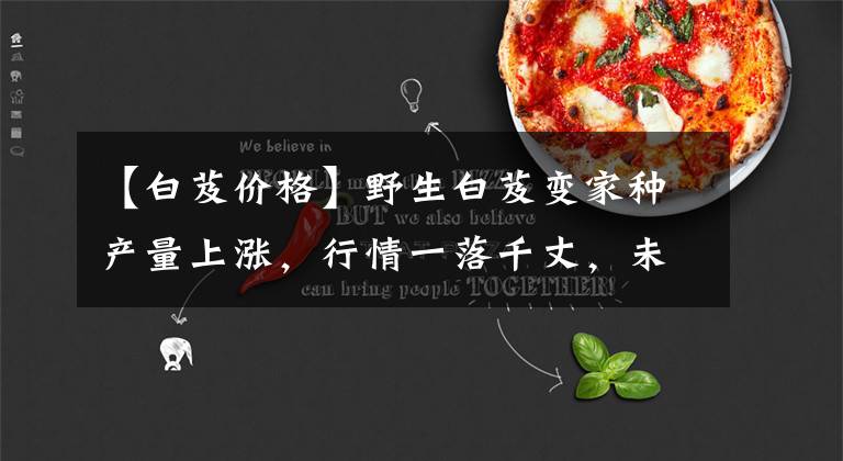 【白芨价格】野生白芨变家种产量上涨，行情一落千丈，未来价格能否稳定