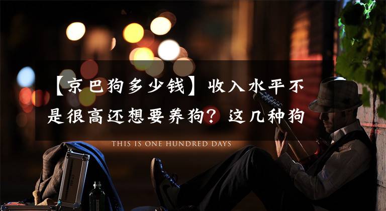 【京巴狗多少钱】收入水平不是很高还想要养狗?这几种狗价格最便宜,可以放心购买