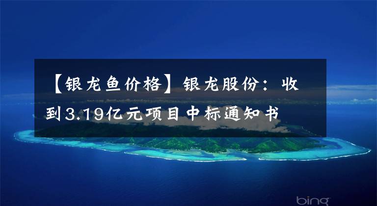 【银龙鱼价格】银龙股份：收到3.19亿元项目中标通知书