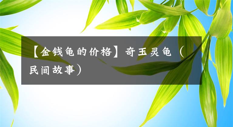【金钱龟的价格】奇玉灵龟（民间故事）