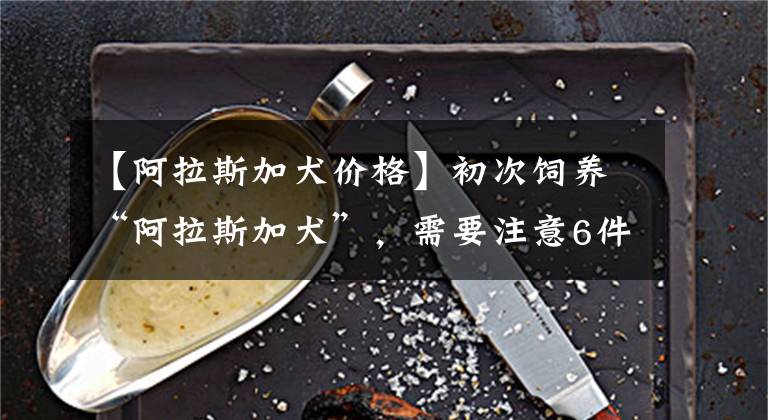 【阿拉斯加犬价格】初次饲养“阿拉斯加犬”，需要注意6件事