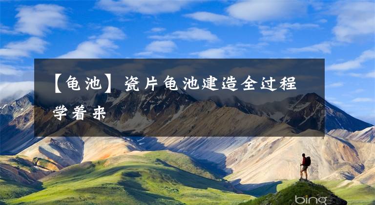 【龟池】瓷片龟池建造全过程 学着来