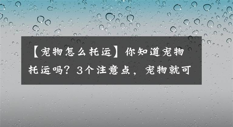 【宠物怎么托运】你知道宠物托运吗？3个注意点，宠物就可以托运，求别出事就行