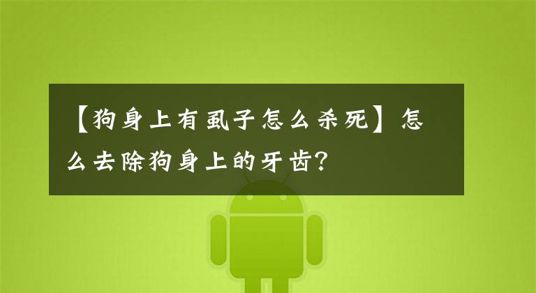 【狗身上有虱子怎么杀死】怎么去除狗身上的牙齿?