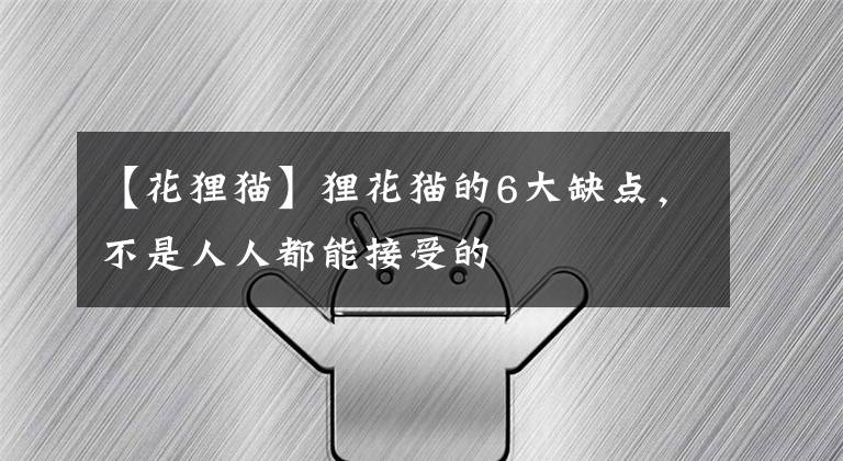 【花狸猫】狸花猫的6大缺点，不是人人都能接受的