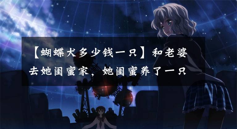 【蝴蝶犬多少钱一只】和老婆去她闺蜜家，她闺蜜养了一只蝴蝶犬，就跳到我的大腿上