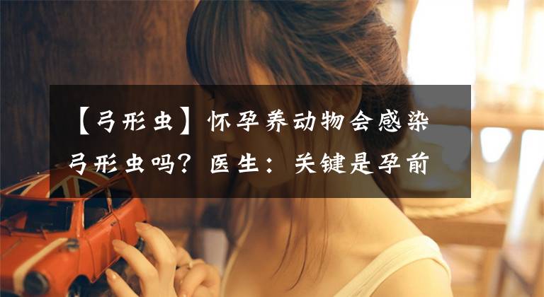 【弓形虫】怀孕养动物会感染弓形虫吗?医生:关键是孕前做好这项检查