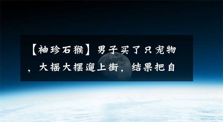【袖珍石猴】男子买了只宠物，大摇大摆遛上街，结果把自己送进派出所……