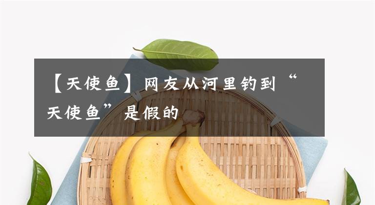 【天使鱼】网友从河里钓到“天使鱼”是假的