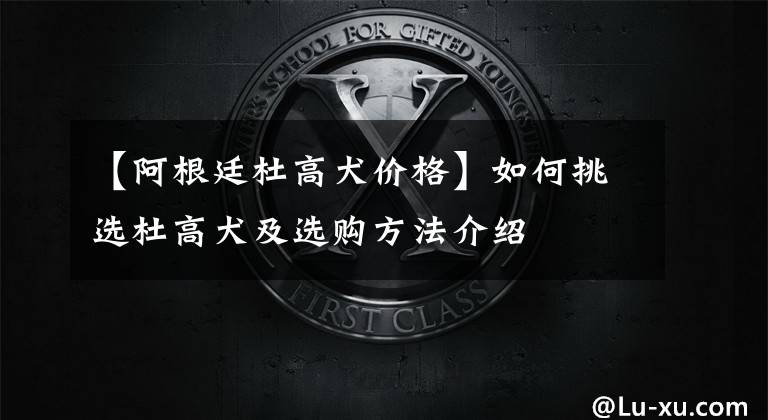 【阿根廷杜高犬价格】如何挑选杜高犬及选购方法介绍