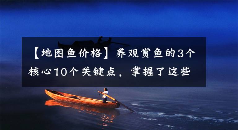 【地图鱼价格】养观赏鱼的3个核心10个关键点,掌握了这些知识,你也能年年有鱼