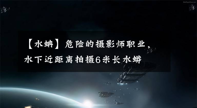【水蚺】危险的摄影师职业,水下近距离拍摄6米长水蟒